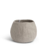 Olympus Digital Camera Olympus Digital Camera