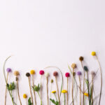 1948 Endless Flower, Seed Case2