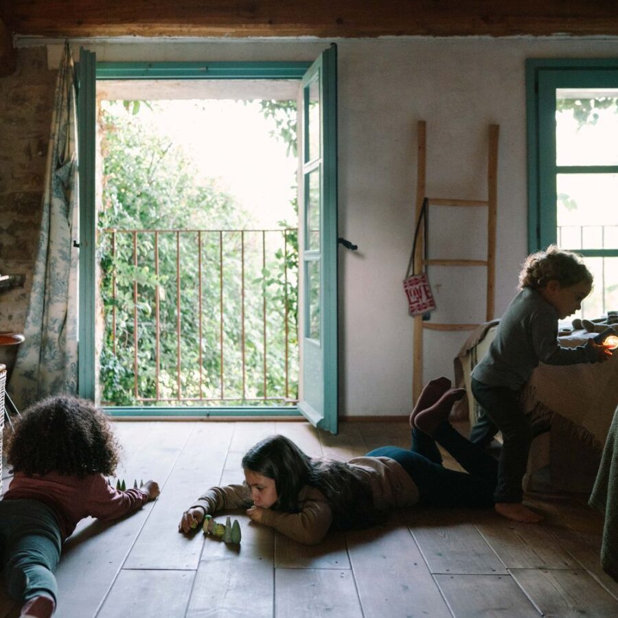 26 283 Forest Tree (12)