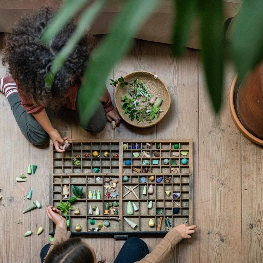 26 283 Forest Tree (5)