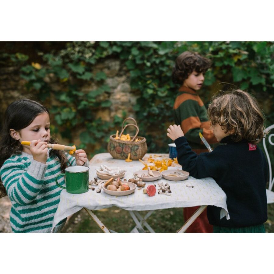 26 284 Mushroom Grove (11) 26 284 Mushroom Grove (11)