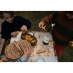 26 284 Mushroom Grove (12) 26 284 Mushroom Grove (12)