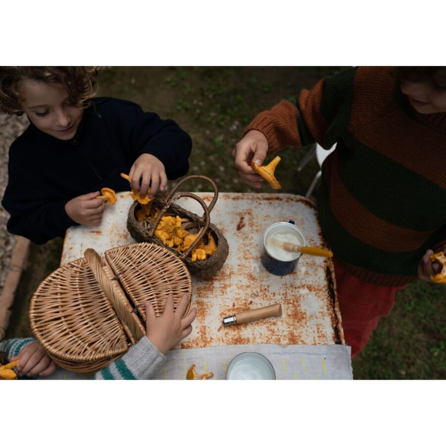 26 284 Mushroom Grove (12) 26 284 Mushroom Grove (12)