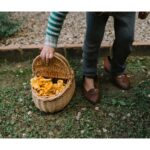 26 284 Mushroom Grove (13) 26 284 Mushroom Grove (13)