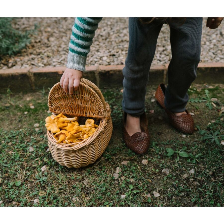 26 284 Mushroom Grove (13) 26 284 Mushroom Grove (13)