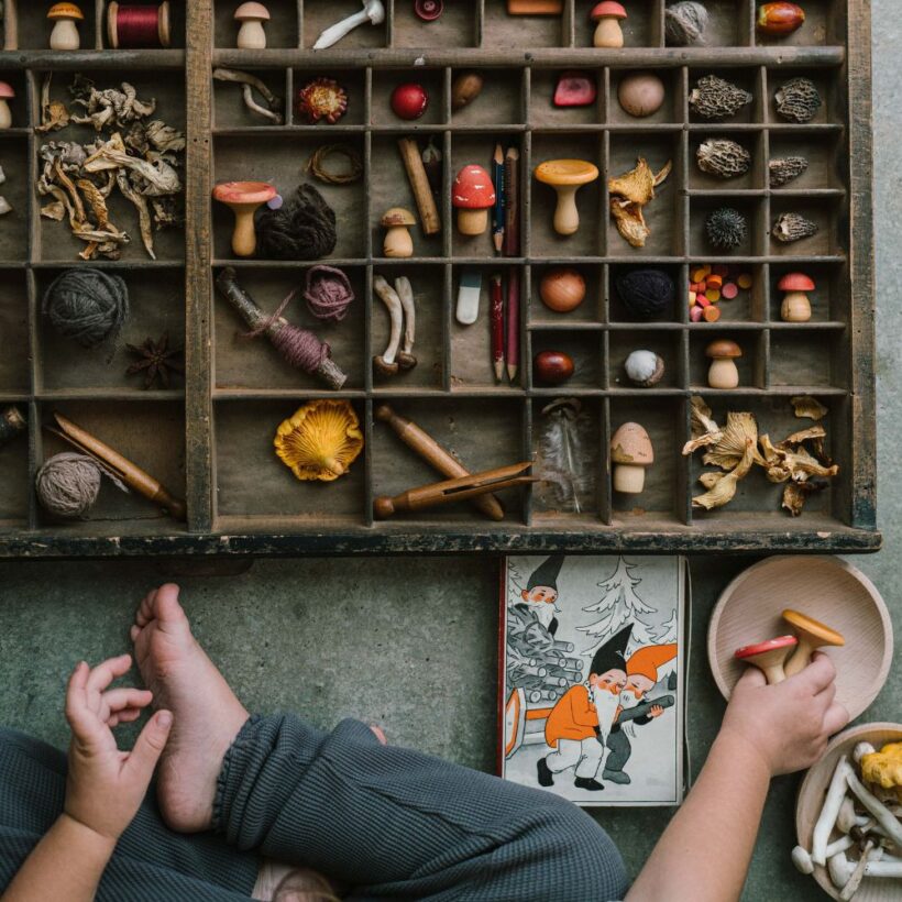 26 284 Mushroom Grove (4)