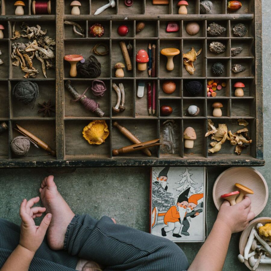 26 284 Mushroom Grove (4) 26 284 Mushroom Grove (4)