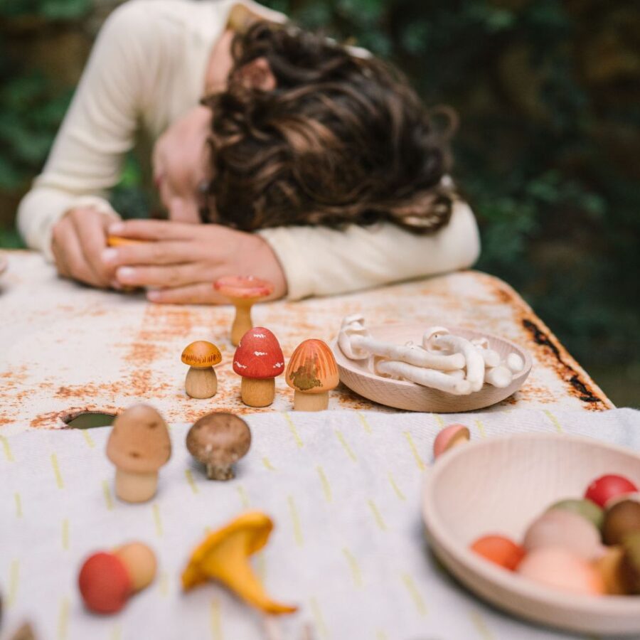 26 284 Mushroom Grove (5) 26 284 Mushroom Grove (5)