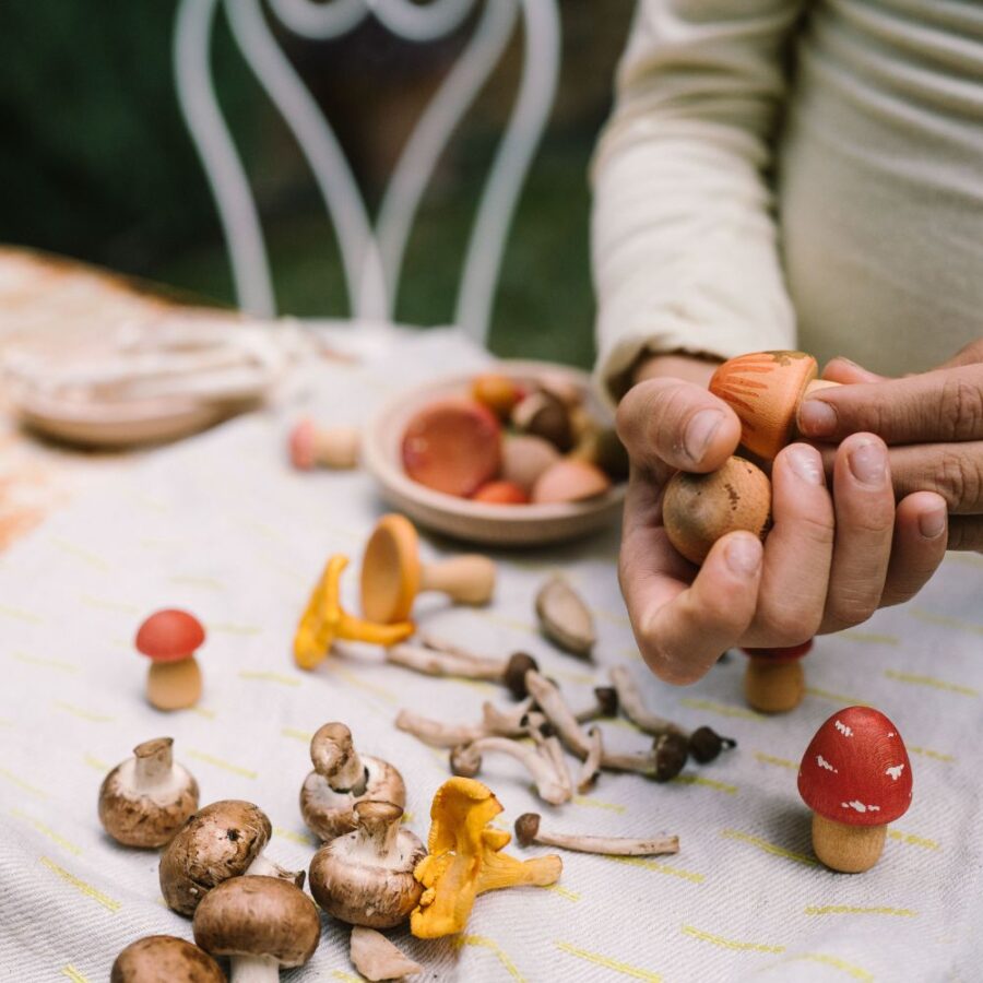 26 284 Mushroom Grove (6) 26 284 Mushroom Grove (6)