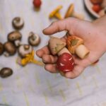 26 284 Mushroom Grove (7) 26 284 Mushroom Grove (7)