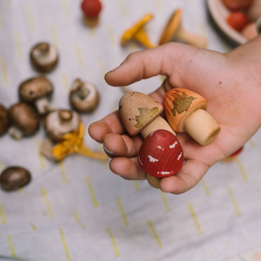 26 284 Mushroom Grove (7) 26 284 Mushroom Grove (7)