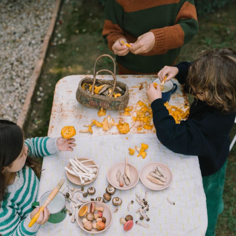 26 284 Mushroom Grove (8) 26 284 Mushroom Grove (8)