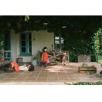 26 285 Flower Meadow (4)