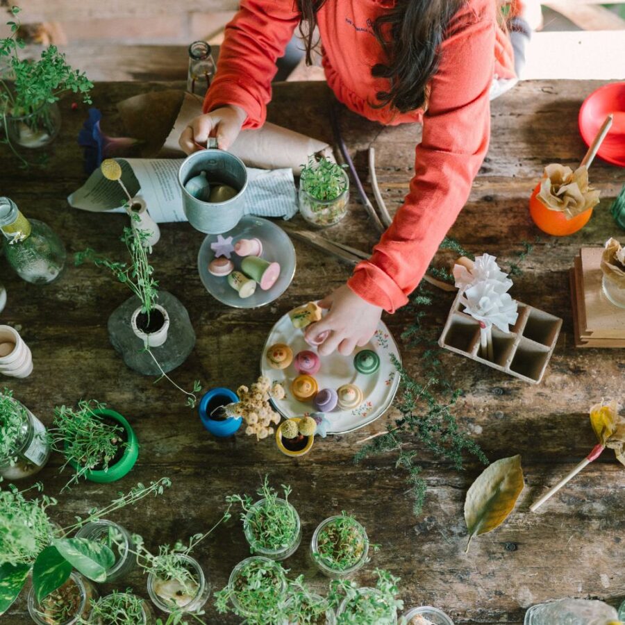 26 285 Flower Meadow (7)