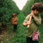 26 286 Fruits (12) 26 286 Fruits (12)