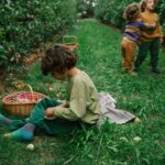 26 286 Fruits (3) 26 286 Fruits (3)