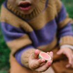 26 286 Fruits (6) 26 286 Fruits (6)