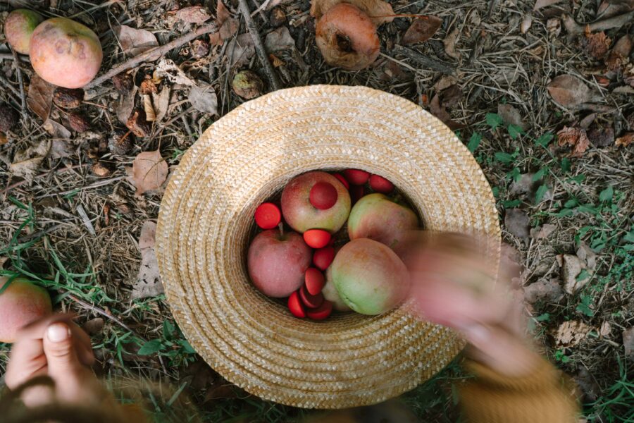 Art 26 290 Mandala Half Spheres A7r04728 Joguines Grapat Art 26 290 Mandala Half Spheres A7r04728 Joguines Grapat