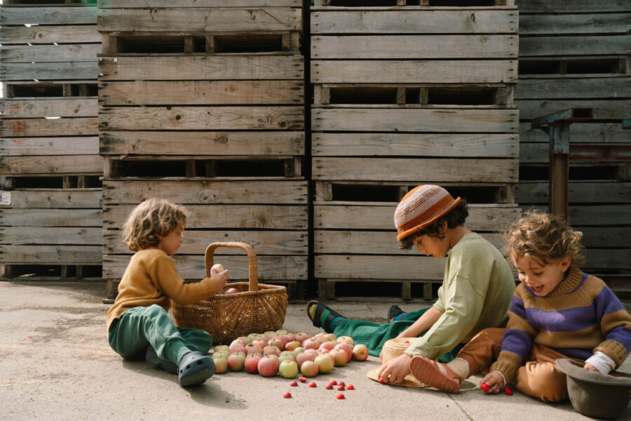 Art 26 290 Mandala Half Spheres A7r04862 Joguines Grapat Art 26 290 Mandala Half Spheres A7r04862 Joguines Grapat