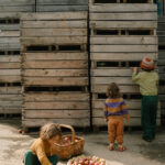 Art 26 290 Mandala Half Spheres A7r04883 Joguines Grapat Art 26 290 Mandala Half Spheres A7r04883 Joguines Grapat