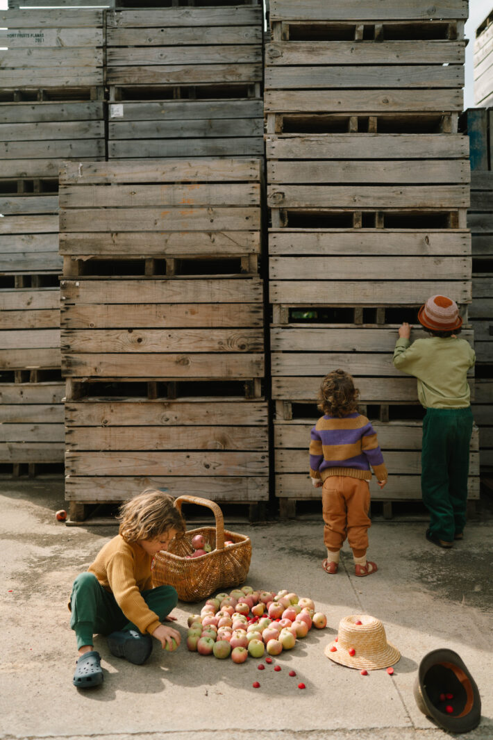 Art 26 290 Mandala Half Spheres A7r04883 Joguines Grapat Art 26 290 Mandala Half Spheres A7r04883 Joguines Grapat