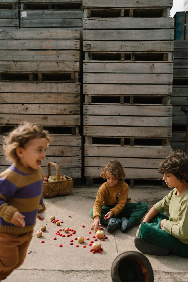 Art 26 290 Mandala Half Spheres A7r04938 Joguines Grapat