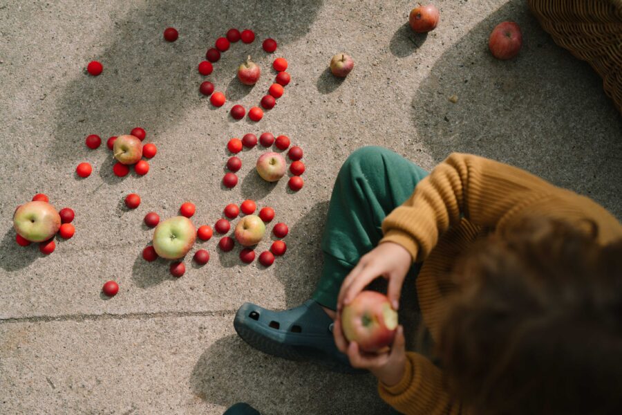 Art 26 290 Mandala Half Spheres A7r04977 Joguines Grapat Art 26 290 Mandala Half Spheres A7r04977 Joguines Grapat