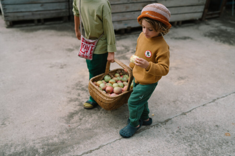 Art 26 290 Mandala Half Spheres A7r05109 Joguines Grapat Art 26 290 Mandala Half Spheres A7r05109 Joguines Grapat