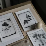 Ovo Fineartsilverprint03