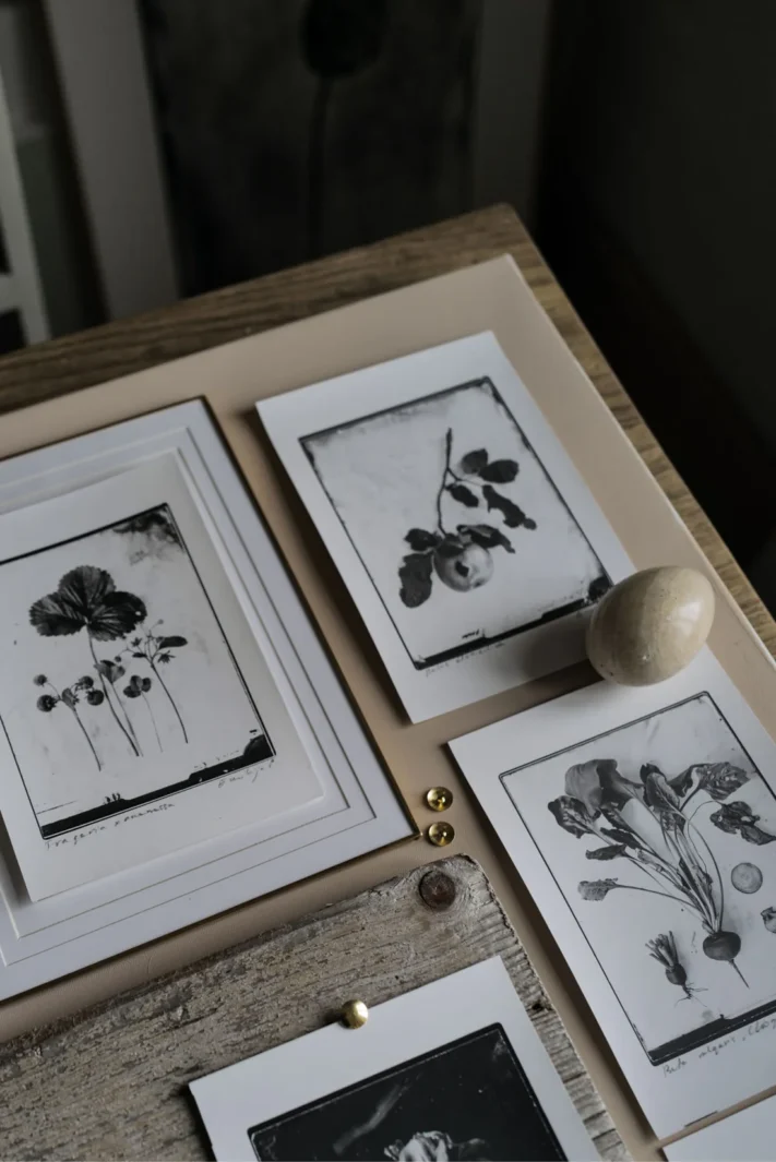 Ovo Fineartsilverprint03