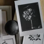 Ovo Fineartsilverprint05