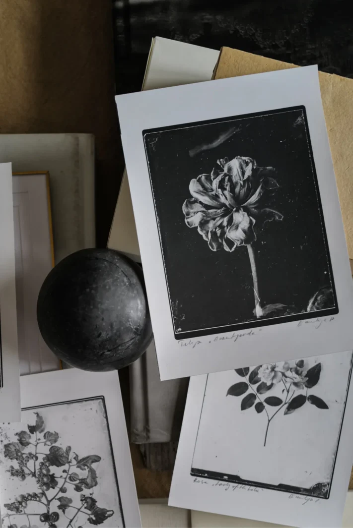 Ovo Fineartsilverprint05