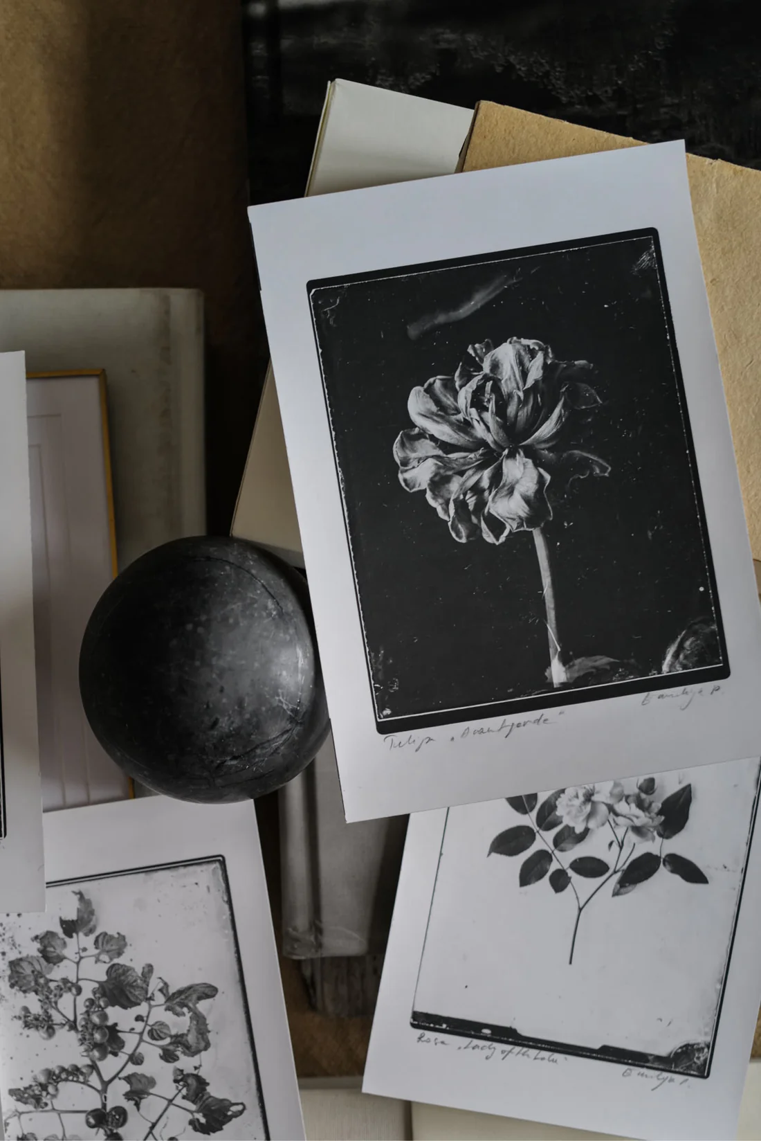 Ovo Fineartsilverprint05