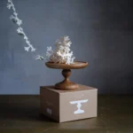 Stand Ivaizdine 052de94a 446b 4492 B40f 50fe1f30d103