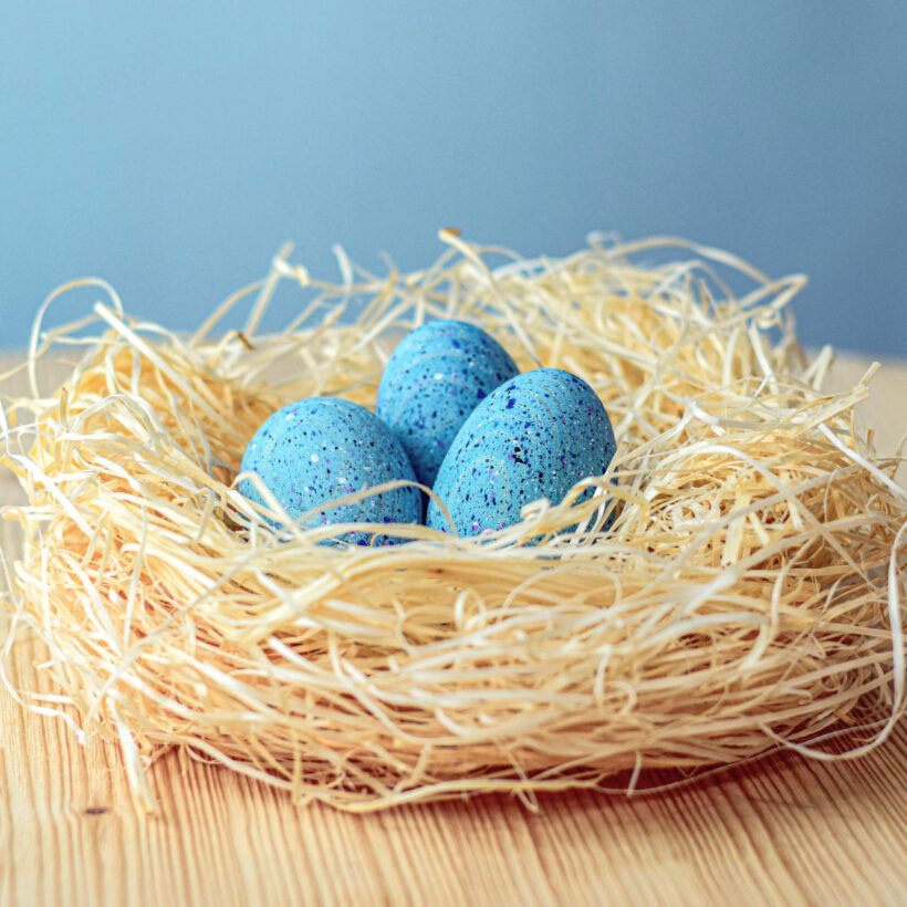 Brontosaurus Eggs Set~6305