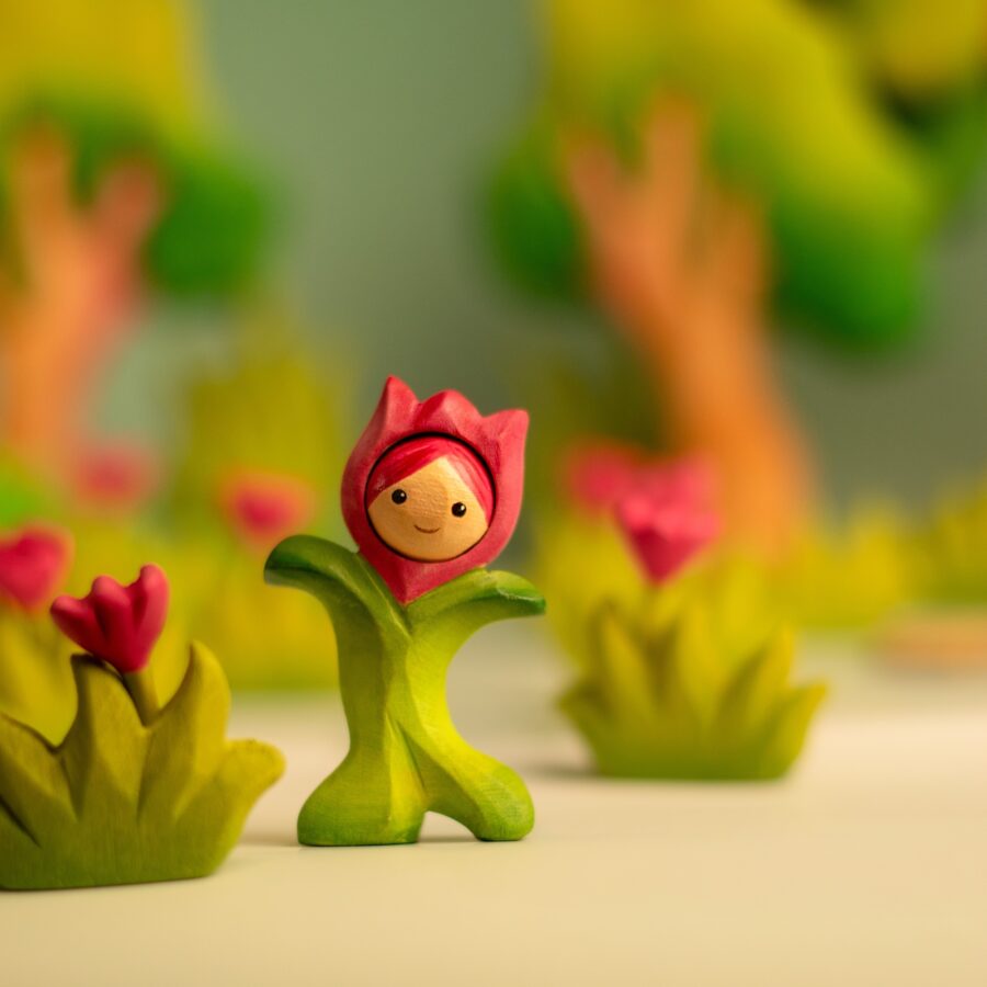 Flower Child Tulip~5684729 Flower Child Tulip~5684729