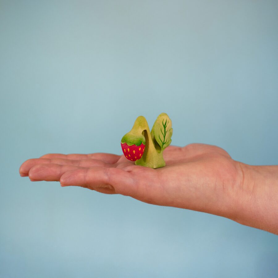 Strawberry Plant~5684672 Strawberry Plant~5684672