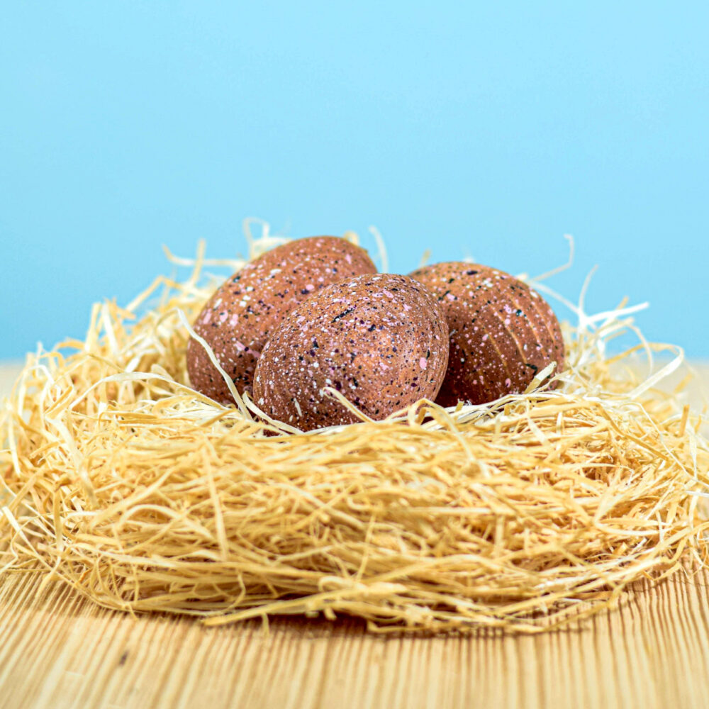 Triceratops Eggs Set~6868