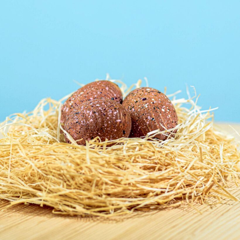 Triceratops Eggs Set~6869 Triceratops Eggs Set~6869