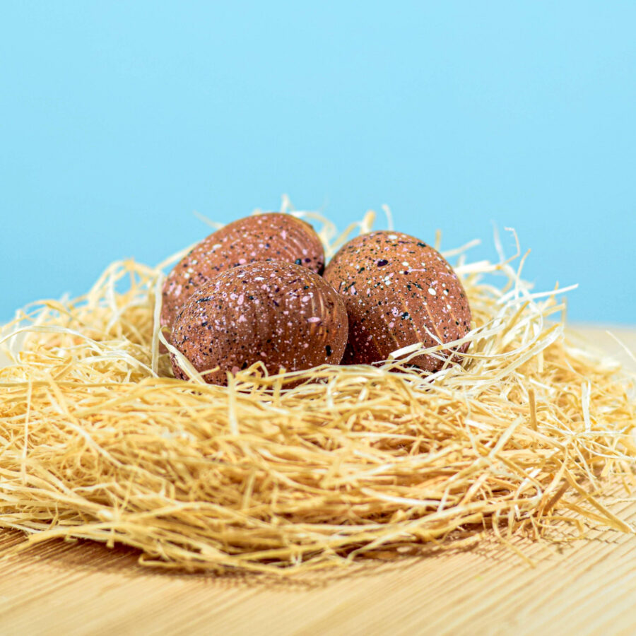 Triceratops Eggs Set~6869 Triceratops Eggs Set~6869