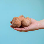 Triceratops Eggs Set~6870 Triceratops Eggs Set~6870