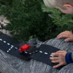 Waytoplay Back And Forth Car Red 2outdoorplaytreeroadcar.jpg Waytoplay Back And Forth Car Red 2outdoorplaytreeroadcar.jpg