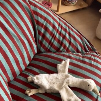 ⁨	⁨	קבוצה אחת תרד כבר בשעות הקרובות והשנייה נפתחה אתמול בערב והמלאים מצטמצמים … כנסו ללינק בביו ובדקו את הקבוצות הפעילות 🪿❤️⁩⁩